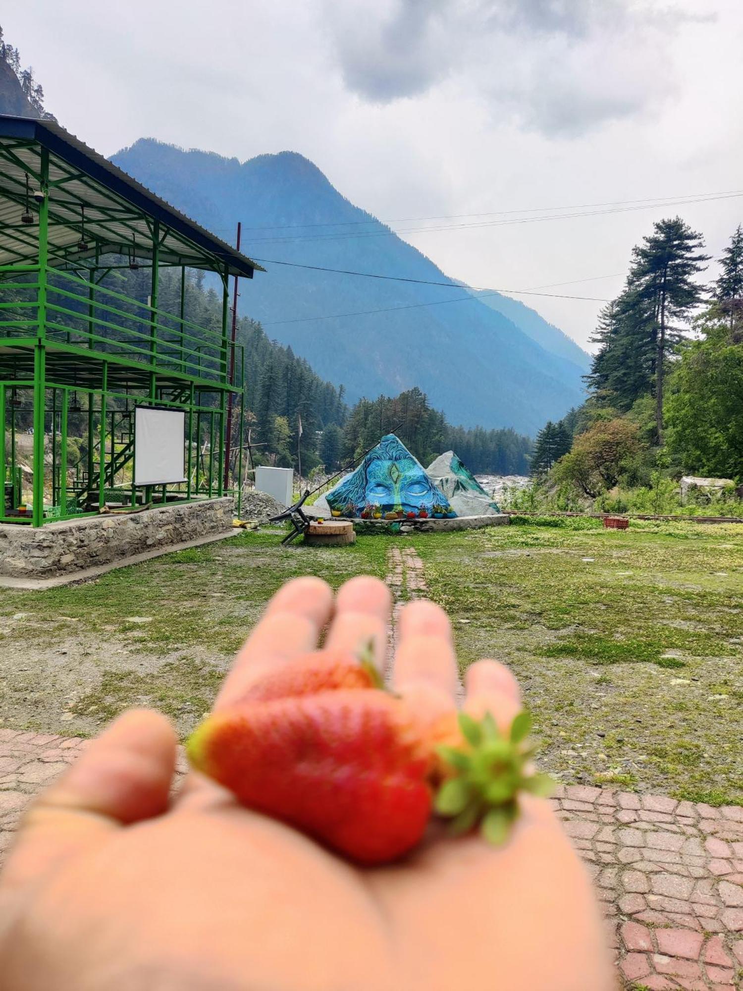 Flipsyde Retreat Hotel Kasol Luaran gambar