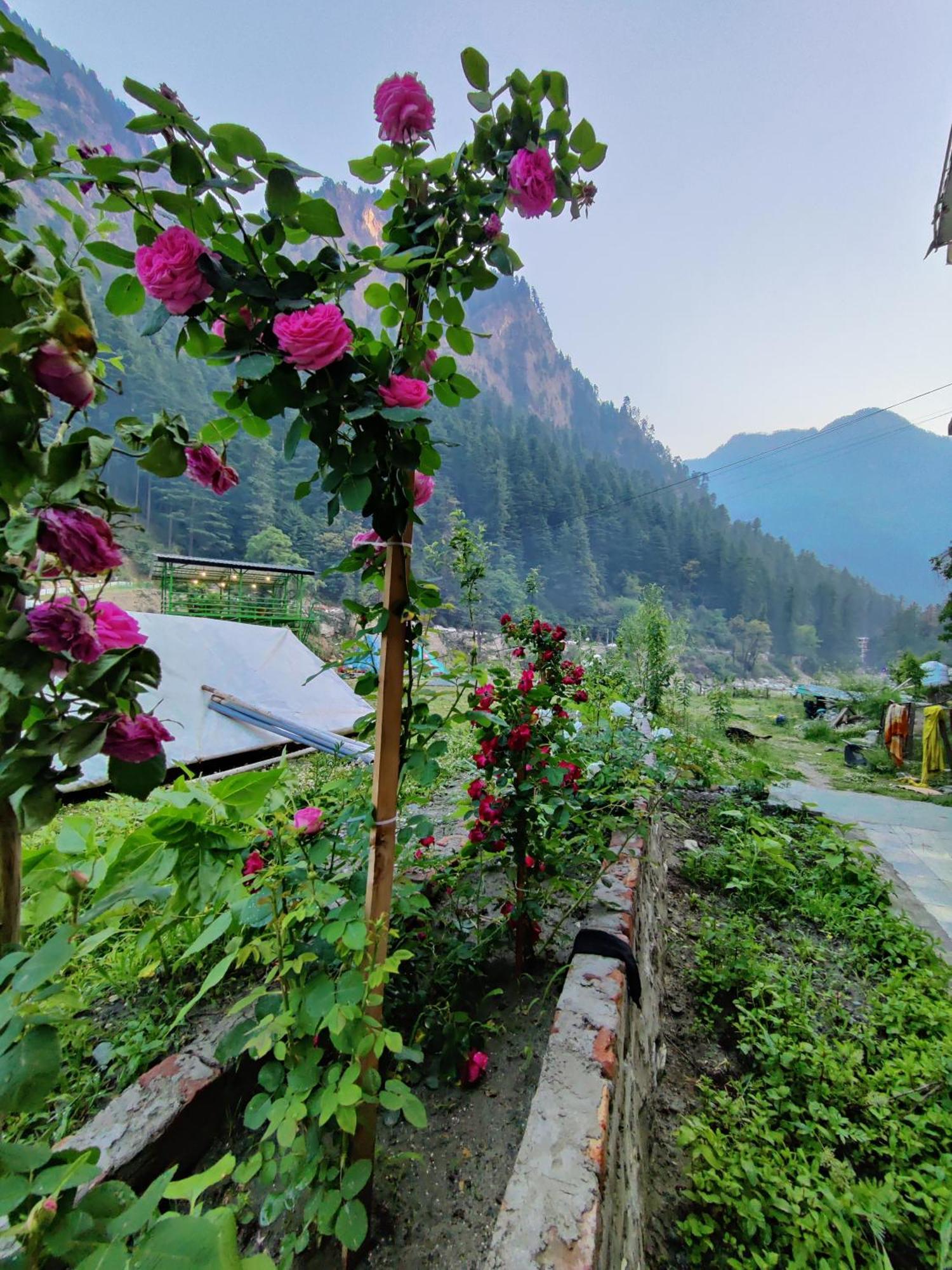 Flipsyde Retreat Hotel Kasol Luaran gambar
